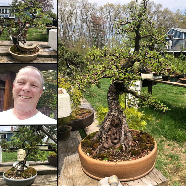 PAST EVENT Bonsai Workshop / Class with Kris Springer, Sunday, February 16, 2025