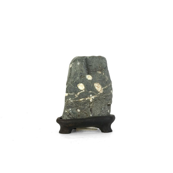 Japanese Suiseki - Upright Narai Plum Blossom Pattern Stone with