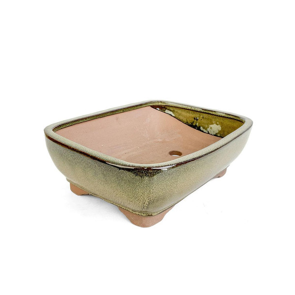 8.5" Rounded Rectangle Bonsai Pot - Tan