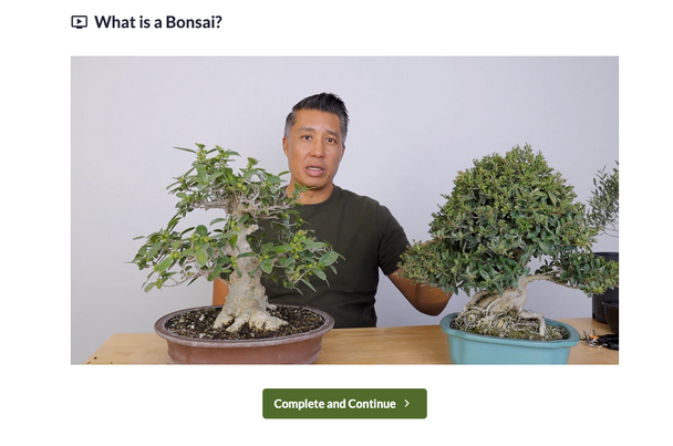 Online Beginner Bonsai Course with Jason