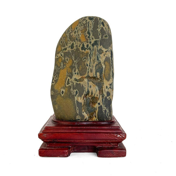 Snake Skin Pattern Stone