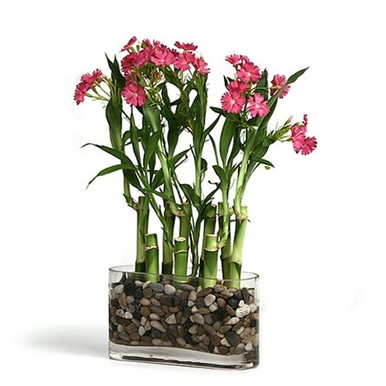 Floral Garden