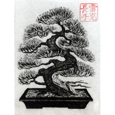 Bonsai Print Drawing