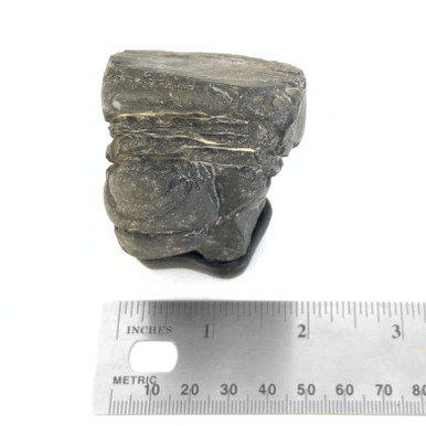 Japanese Suiseki - Japanese Gray River Stone with Daiza - Eastern Leaf