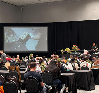 PSBA Spring Show 2023 at PBM BONSAIFEST — Puget Sound Bonsai