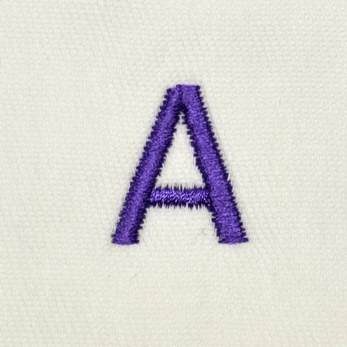modern-initial.jpg