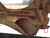 1955-57 Chevy Station Wagon & Nomad Rear Cargo Floor Support Brace & Baffle Set