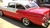 1955-57 Chevy Restored 2&4-Door Sedan Backglass Upper Stainless Steel Molding