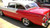 1955-57 Chevy Restored 2&4-Door Sedan Backglass Right Lower Stainless Steel Molding