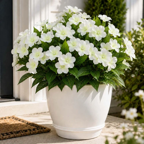 Coreland 12 Bundles Artificial Impatiens Flowers for Outdoor, UV Resistant Realistic Silk Flowers Faux Plant Bushes for Patio Garden Porch Decoration, White