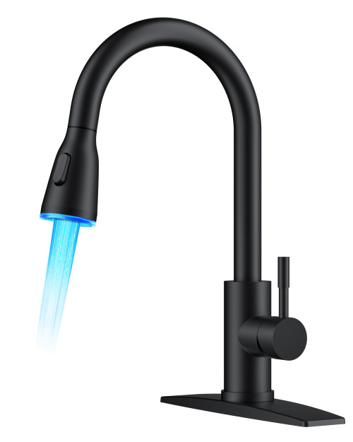 FORIOUS Kitchen Faucet with LED Light Sprayer, Single Hole, Black