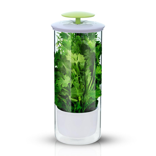 TechTack Herb Keeper and Herb Saver – Premium Borosilicate Glass Storage Container with Ventilation Slots – Easy Access Top Lid Produce Saver Cilantro Container with Drainage Holes