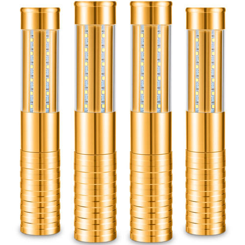 Civaner 4 Pcs LED Bottle Service Lights Nightclubs, Gold White Light