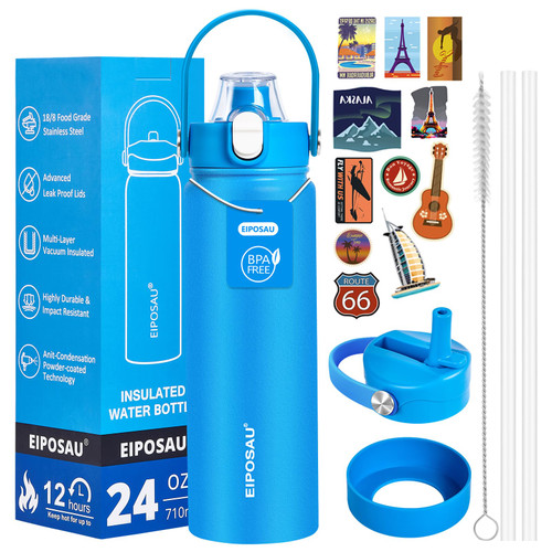 Insulated Water Bottle with Lid & Boot & Stickers, 24 oz