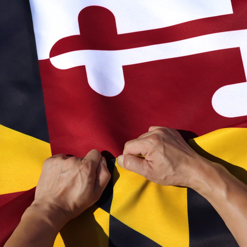 Anley Rip-Proof Double Sided 3-Ply Maryland State Flag 3x5 Foot - Vivid Color, Canvas Header and Wrinkle Resistant - The Strongest, Longest Lasting Maryland MD Flags 3 X 5 Ft