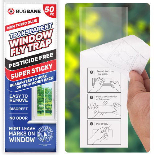 50 Window Fly Traps Sticky Non-Toxic Clear Fly Paper Indoor for Home. No Mess Flies Window Sticky Traps Bug Flies Strips Indoors. Fruit and Housefly Trap Indoor Flypaper Tape Gnat Catcher Killer.