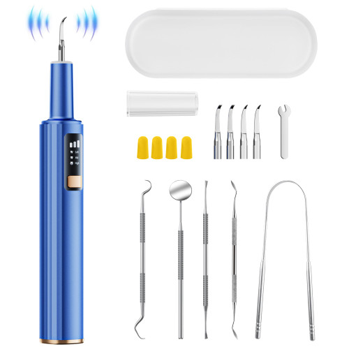 Plaque Remover for Teeth - 42kHz Ultrasonic Tartar Remover with Smart Gum Safety Sensor, 10-Piece Kit (4 Heads + 6 Dentist Tools), LED Light, USB-C Rechargeable, IPX6 Waterproof for Home & Travel