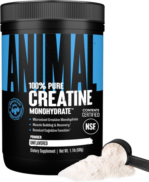 Animal Creatine Monoydrate Powder for Men & Women | Unflavored 500g