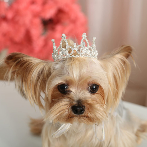 Lovelyshop Pearl Rhinestone Pet Crown for Dogs & Cats, Silver, XS