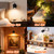 Taysing LED Spotlight Indoor 5W USB Powered 360 Degree Rotating Mini Display Accent Light for Pictures Paintings Plants Shelves Cabinet Showcase, 1 Pack Soft White 3000K