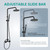 Aolemi Outdoor Shower Kit 8 Inch Head with Handheld,Matte Black