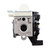 TOPREPAIR Carburetor for A021004231 Echo HC-2420 HC-3020 HCS-3020 HCS-4020 HC-2020 Hedge Trimmer A021004900