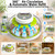 DEZHXHE 18/60 Egg Incubator with Humidity Display, Incubators for Hatching Eggs, Egg Candler, Automatic Egg Turner, Poultry Egg Incubator for Hatching Chicken Duck Goose Bird Quails- Green 2 Egg Trays