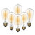 Jslinter 6-Pack Edison Light Bulb 60 Watt Dimmable ST58 Vintage Warm Bulb