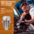 M14x1.5 Magnetic Oil Drain Plug, Stainless Steel and Aluminum Oil Pan Plug with 5PCS Copper Crush Washer Anti Leakage, Oil Pan Drain Fits Most Cars, Motorcycles, Boats