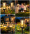 Solar Pathway Lights Outdoor, 12 Pack Upgraded Solar Garden Lights Solar Powered, Solar Lights Outdoor Waterproof IP65, 15 Hours Outdoor Solar Lights for Yard Patio Landscape Walkway Driveway Decor