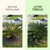 Sago Palm Fertilizer – Liquid Plant Food for Rich Green Fronds, 8 oz