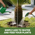 Sago Palm Fertilizer – Liquid Plant Food for Rich Green Fronds, 8 oz