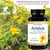 Arnica Montana Capsules 500mg 100 Capsules