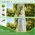 Serendipresent Extra Thick Tree Trunk Protector Guard - 99" L x 16" W PET Plastic Wrap for Iguana & Cat Prevention, DIY Plant Greenhouse Including Waterproof Transparent Acrylic Double-Sided Adhesive