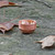 Vintage Brass Tibetan Style Meditation Bowl Set 7 Bowls Home Accent and Small Parts Organizer (Red)