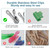 40 PCS Garden Clips for Netting, Stainless Steel Greenhouse Clamps, 2 Inch