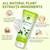 50 Pack Body & Hand Lotion Bulk for Women, Moisturizer Lotion for Dry Skin