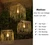 DC 12V ST64 LED Light Bulb 2700k 6W Warm White LED Edison Filament E26 Screw Base Lamp DC Low Voltage RV Marine Boat Classic Industrial Prop Retro Landscape Industrial Lighting Non-dimmable 3-Pack …