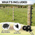 80 Pack Electric Fence Insulators with Driver Tool – Wood Post Screw-in Insulator Installation Kit, Heavy Duty Fence Post Insulators for Farm, Livestock & Garden Fencing(80)