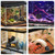 2K Aquarium Camera for Fish Tank & Reptile Terrarium, SD Card Included