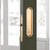 AcxdJnye Pocket Door Lock Hardware with Pull,Invisible Sliding Door Lock Handle, Recessed Door Handle Lock for Furniture Hardware, Gold