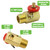 Grip Air Tank Assembly Kit - 4 ft Air Hose with 1/4" NPT Tire Chuck, Brass Manifold, 0-200 PSI Gauge - Safety Bypass Valve - Manual Override - On/Off Air Adjustment - Home, Garage, Workshop - 300 PSI