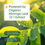 NatureBell Moringa 800mg, 240 Capsules
