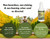 Fountain Algaecide and Clarifier - 32oz - Kills and Inhibits All Types of Algae Growth, Formulated for Small Ponds and Water Features, Treats up to 32,000 Gallons