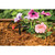 Rain Bird LNDDRIPKIT Drip Irrigation Kit