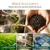 VAHDAM Assam Black Tea Bags(100 Count) Assam Exotic Tea in Pyramid Tea Bags