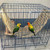 Bird Seagrass Mat 30 x 7 Inch Parrot Natural Seagrass Woven Net Hammock Parakeet Climbing Rope Ladder Mat Chew Toys Cage Accessories for Pigeon Macaw Cockatiel Conure Cockatoo Rat Bearded Dragon