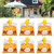 4 Pack Disposable Wasp Traps Outdoor Hanging Bags