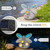 Dragonfly Garden Decor with Solar Cracked Glass Wings & Flower Lights