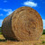 NizHome Large Round Bale Hay Net, Knotless Hay Nets for Horses Slow Feed, Heavy Duty Whole Bale Haynet for Round Bale 4x4 or Square Bale 3x3x4-4x4x4